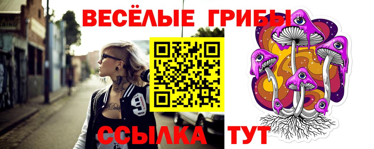 Псилоцибиновые грибы Psilocybine cubensis Пыть-Ях